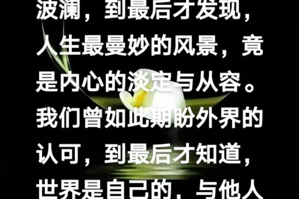 命命是什么意思？探讨命运与人生哲学的深意