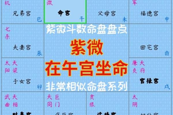 九命猫：好运与智慧并存的命格解析