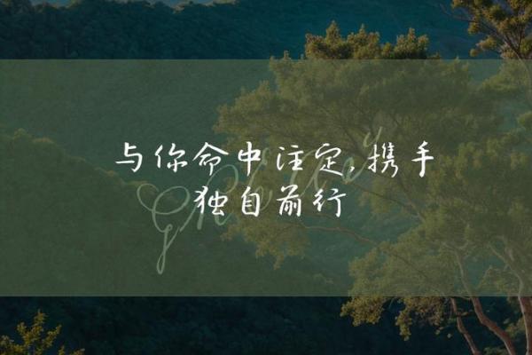 探寻烂命华：一个无畏无惧的灵魂与坚韧的追求者