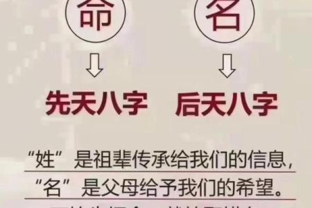 命运与音乐：探讨《命命命命命》的深层含义与情感传递