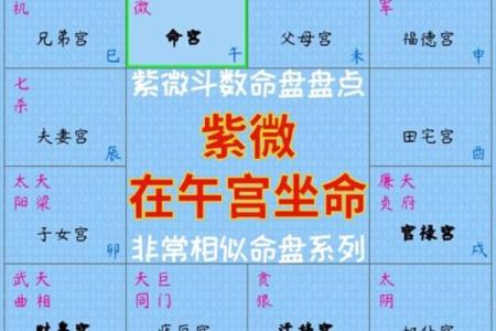 九命猫：好运与智慧并存的命格解析