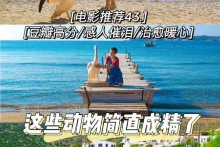 母女相依的生命之旅：探索人与动物的深情羁绊