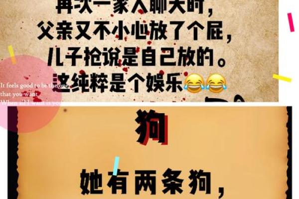 超越忠诚：军犬为何能救主人一命的感人故事