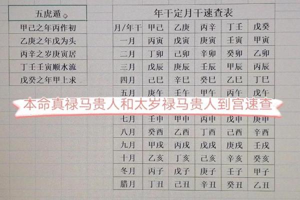 禄马贵人女命：运势佳人富贵智慧并存的命理分析