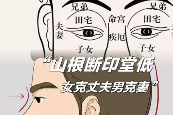 金字命格分析：带金之人的命运和性格解读