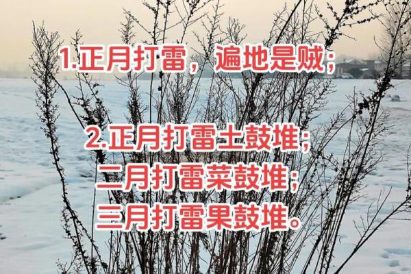 立春出生的人命理解析：如何把握人生的春天机遇