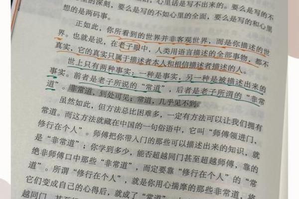 路旁土男的命配与人生哲学：寻常生活中的不凡智慧