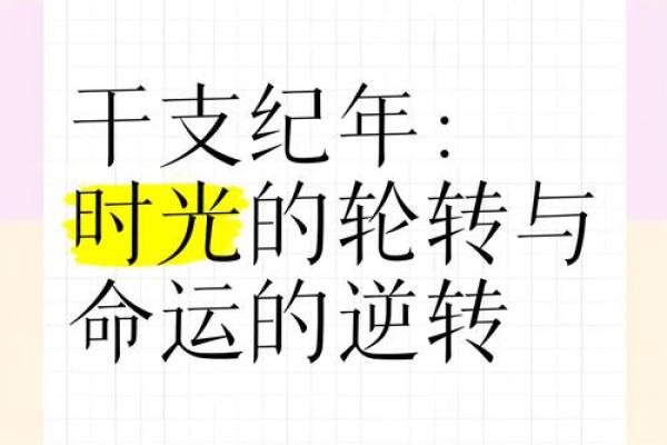 1994年出生的命运与未来：天干地支的神秘与启示