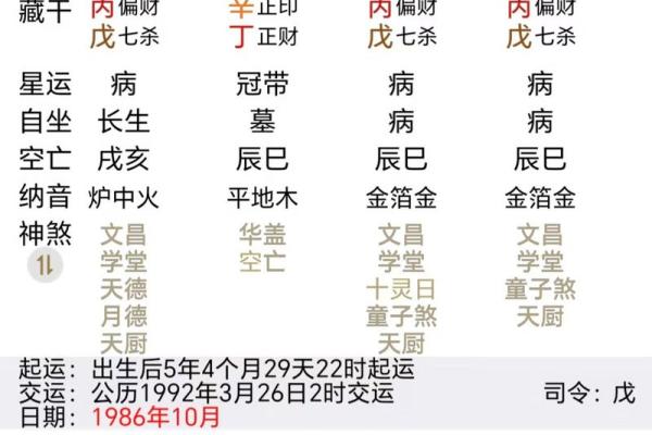 葵亥女命配什么男命：完美爱情的八字解析之旅