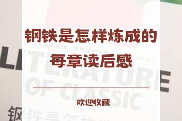 解密命理：四大空亡背后的深刻寓意与生活智慧