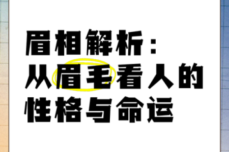 面相中男生眉毛多的命运解析：暗藏的性格与人生机遇