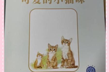 九条命的猫咪：探秘猫咪背后的神秘与传奇故事