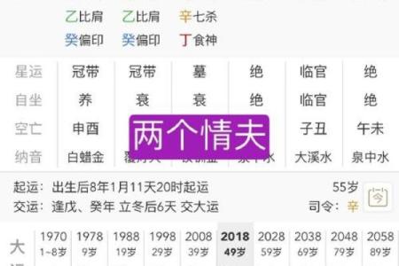 葵亥女命配什么男命：完美爱情的八字解析之旅