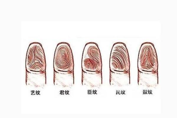 揭秘女性十指无斗命：优雅人生的另一种诠释