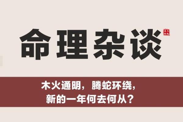 木蛇命的人适合哪些生意？探秘成功之道！