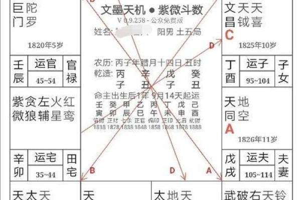 揭示廉贞之命：命格的深奥与人生的智慧