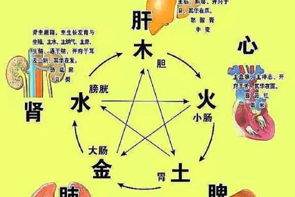 火木木是什么命：揭秘五行命理中的火木之谜！