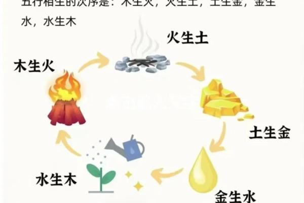 木命与水命的颜色选择：揭示五行相生的奥秘