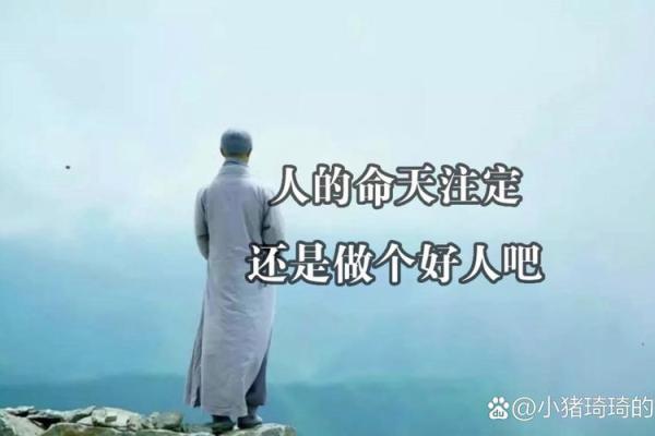 命不由天：掌握人生的主动权与选择权