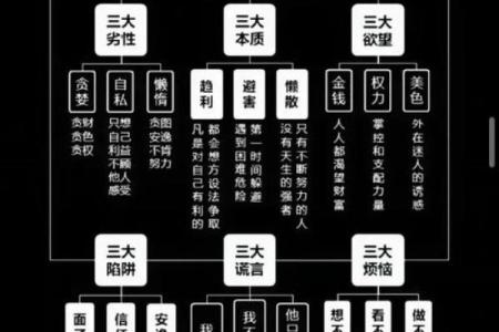 男命5两6的命理解析与人生启示