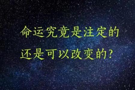 2008年出生的人：命运与潜力的纵深解析