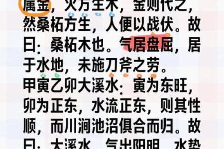 命中土命木命水命解析：三种命局的人生智慧与应对之道