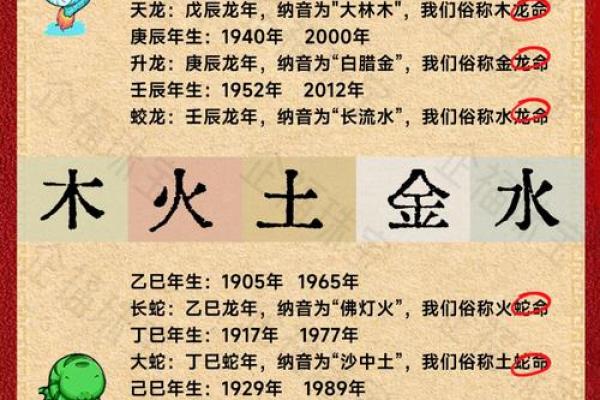 明年出生宝宝的命运解析：十二生肖与五行的奇妙结合