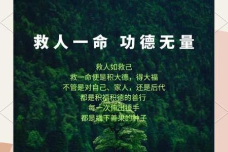 救人一命，福报无限：善行的力量与感悟