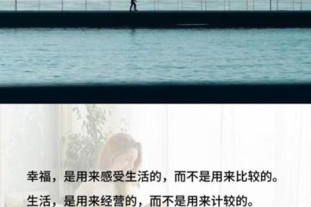 命人却忆平原君：怀古与现实交融的思考之旅