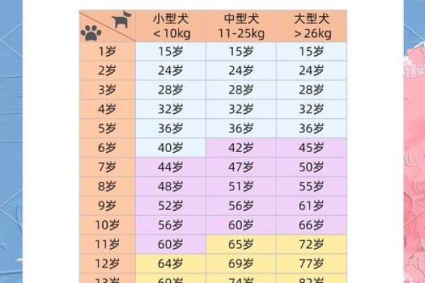 九四年出生的狗狗五行解析：他们的命格与性格深度剖析