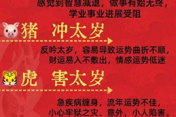 明年正月出生的宝宝属什么命？揭秘命运与性格的奥秘