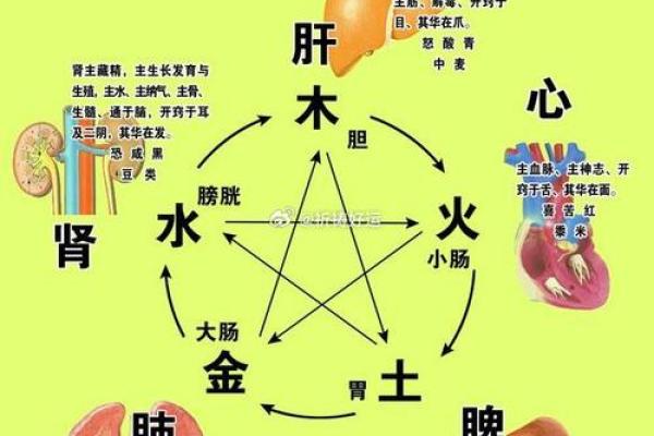 名字“心”五行分析：解读其命理与性格特征