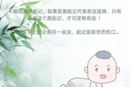 探寻农历一九六三年出生者的命运与特质，解密命理之奥秘