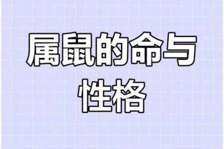 1996年属鼠的命运与人生轨迹探讨