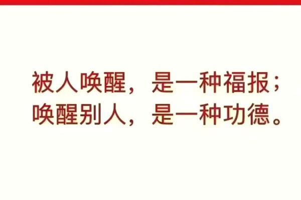 九子观命：揭秘古老智慧中的现代启示