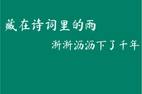 命中带雨：探讨雨水命的特征与风水影响