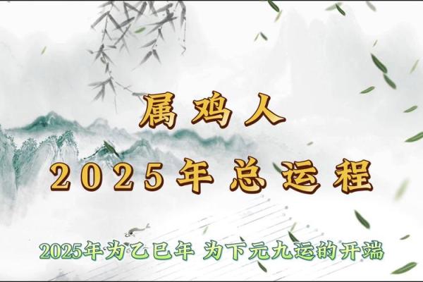 揭示农历5月鸡出生者的命运与性格特点