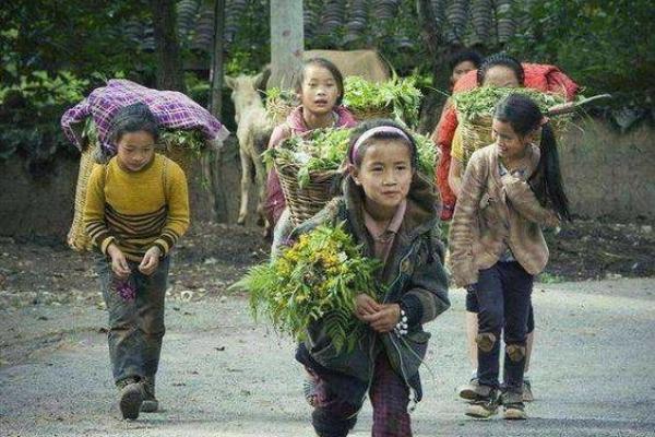 九月初二出生女孩的命运与人生解析：一生的幸福之路