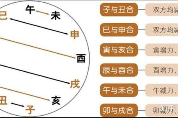 解密命理：6合寅亥的深层含义与人生启示