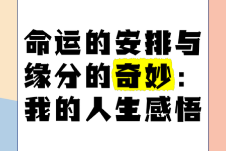 命运的韧性与运势的流转：生活中的奇妙相遇与转折