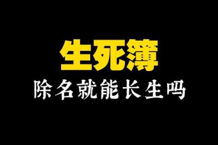 命造长生中的“死”字解析：探寻生死背后的哲学意义