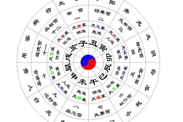 命盘解析：从八字看你的命运与未来