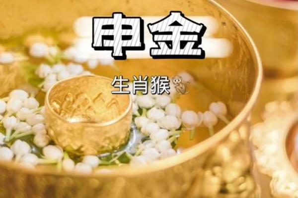 腊月金箔金命：探索冬季的神秘与财富密码