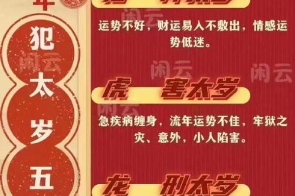 腊月虎宝宝出生，命理解析与未来运势详解