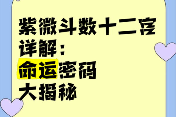 揭开旧历九月初四的命运密码：你的命运来自何处？