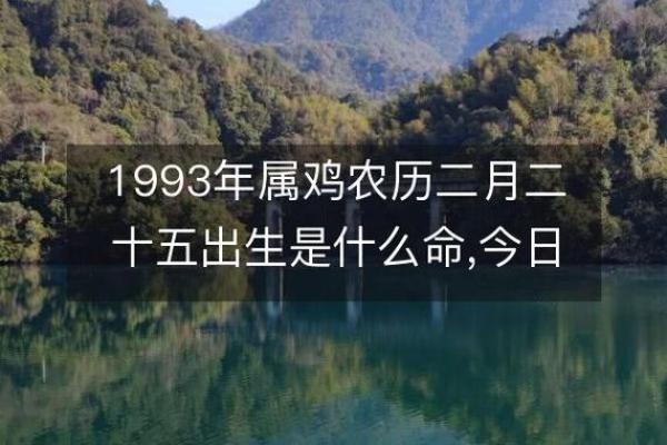 1993年属鸡人的五行命运解析