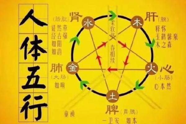 多金缺火的命理解析：从五行看人生运势与调和之道