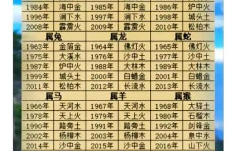 男人木命与五行配对：最佳命理伴侣解析