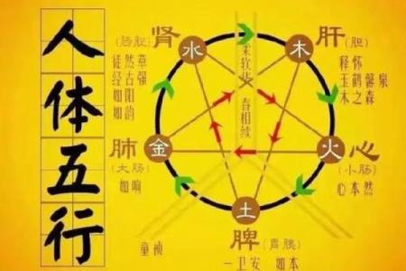 多金缺火的命理解析：从五行看人生运势与调和之道