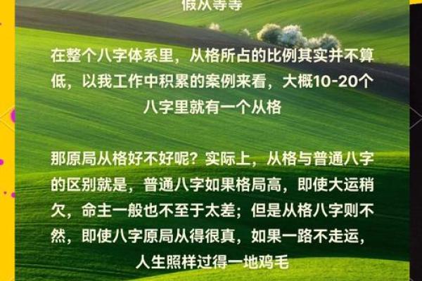 揭秘命理中的“从格”含义，揭开人格特质之谜！